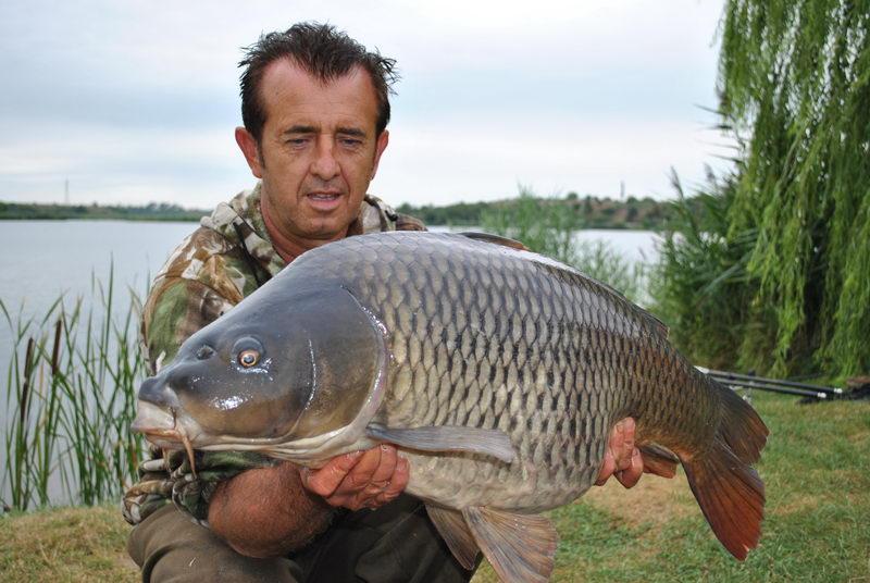 MRA: Galerie foto - UPDATE